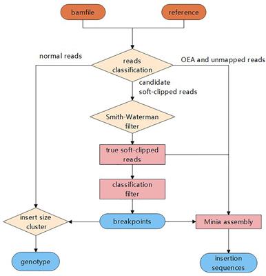 SIns: A Novel Insertion Detection Approach Based on Soft-Clipped Reads